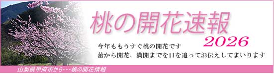 �R�������瓍�̊J�ԏ��𐏎��X�V