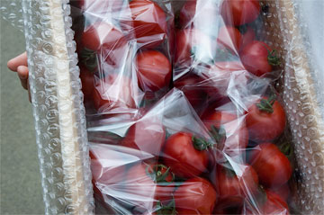 フルーツトマト袋詰め荷姿